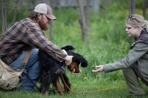 dog_foundational_training