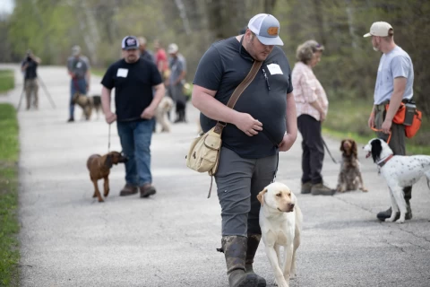 dog_obedience_training