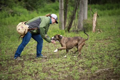 dog_trainer