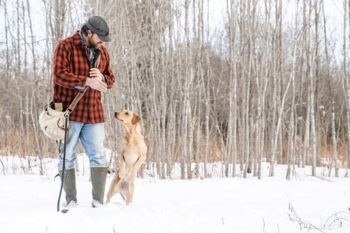 shed_dog_training