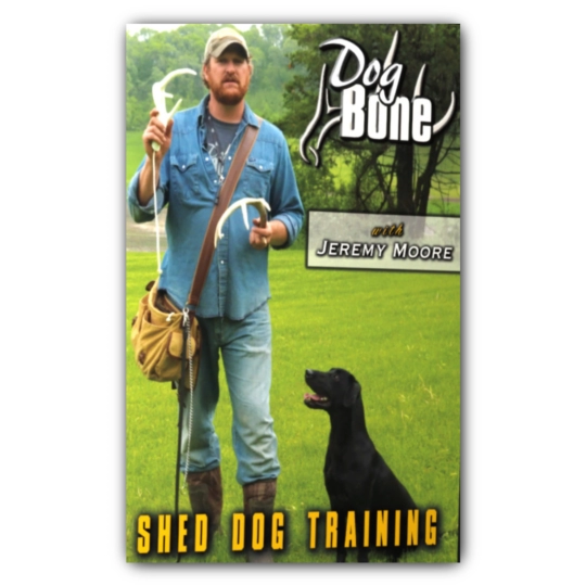 shed dog training