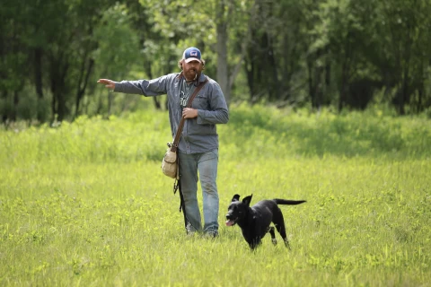 dog_training_with_puppy