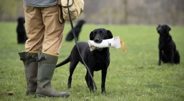 Diving Into Hold Conditioning