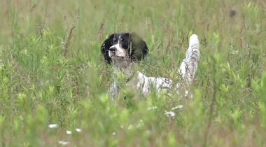 It's Not Always Pretty