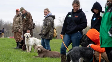 Simplify for Success