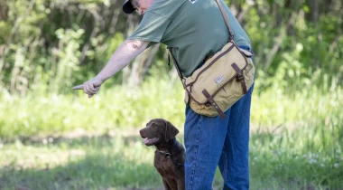 Advanced Retrieving Drills