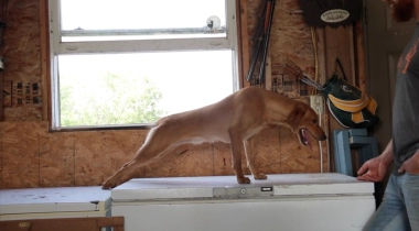 Building Up Confidence