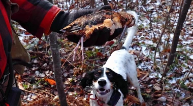 Hunting Grouse & Woodcock: Máquina's First Season