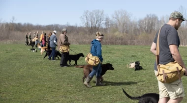 "First Steps" to Becoming a Better Trainer