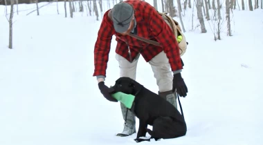 Piecing Things Together