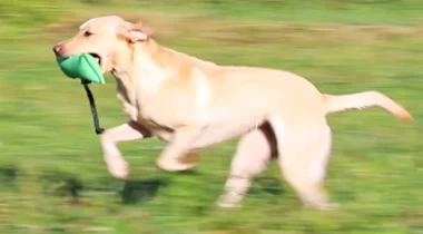 New Locations & Adding Difficulty