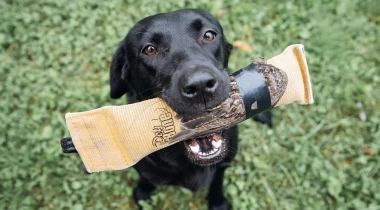 Last Steps of Hold Conditioning 
