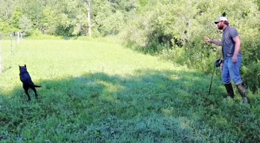 Casting Left and Right 