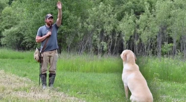 Sharpening Sit to the Whistle