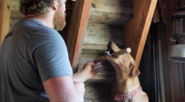 Intro to Hold Conditioning 