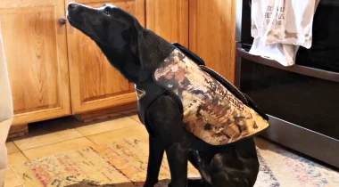 Introducing Neoprene Vests: Getting Comfortable