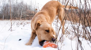 When a Session goes TERRIBLE!