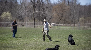 Remote Sit and Steadiness