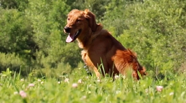 Staying Focused & Calm Through Distractions