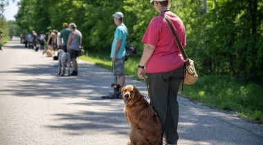 Group Heel Work Drills