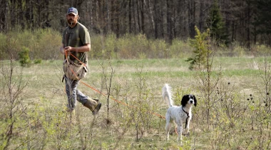 Stopping at a Distance